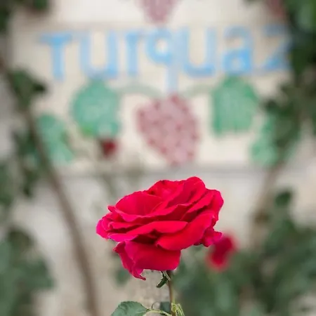 Turquaz Cave Szálloda Göreme