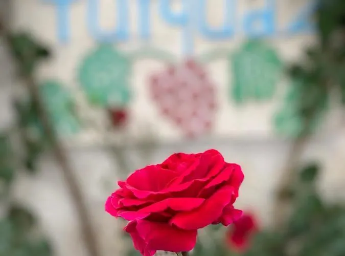 Turquaz Cave Hotel Goreme